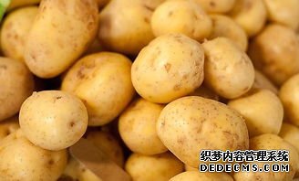 土豆馬鈴薯保鮮冷庫(kù)(圖1)